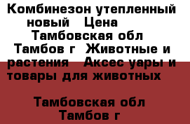 Комбинезон утепленный новый › Цена ­ 800 - Тамбовская обл., Тамбов г. Животные и растения » Аксесcуары и товары для животных   . Тамбовская обл.,Тамбов г.